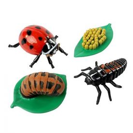 Insect Lore Ladybird Life Cycle Stages Figurines