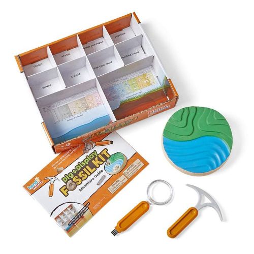 real fossil digging kit