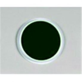 Jumbo paint/ink pads - Green