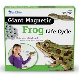 Giant Magnetic Frog Life...