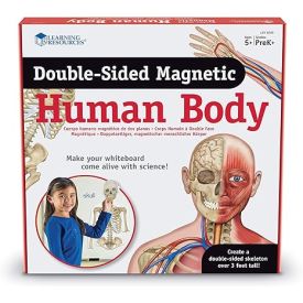 Double Sided Magnetic Human body