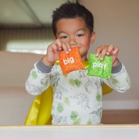 Sight Word Bean Bags