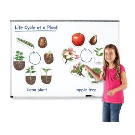 Giant Magnetic Plant Life Cycles