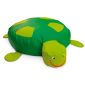 Large Turtle Cushion