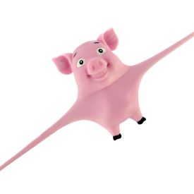 Stretch and Smash Pig