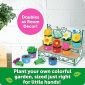 Shape and Colour Garden