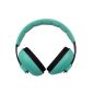 Baby Earmuffs