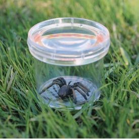 Bug viewer jar
