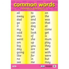 Common Words (Level 1) Literacy Poster