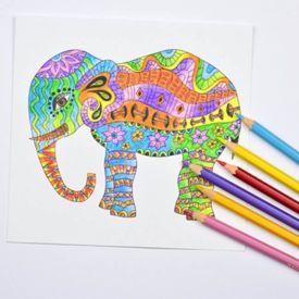 Pentel Arts - 24 Colouring Pencils