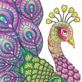 Pentel Arts - 12 Colouring Pencils